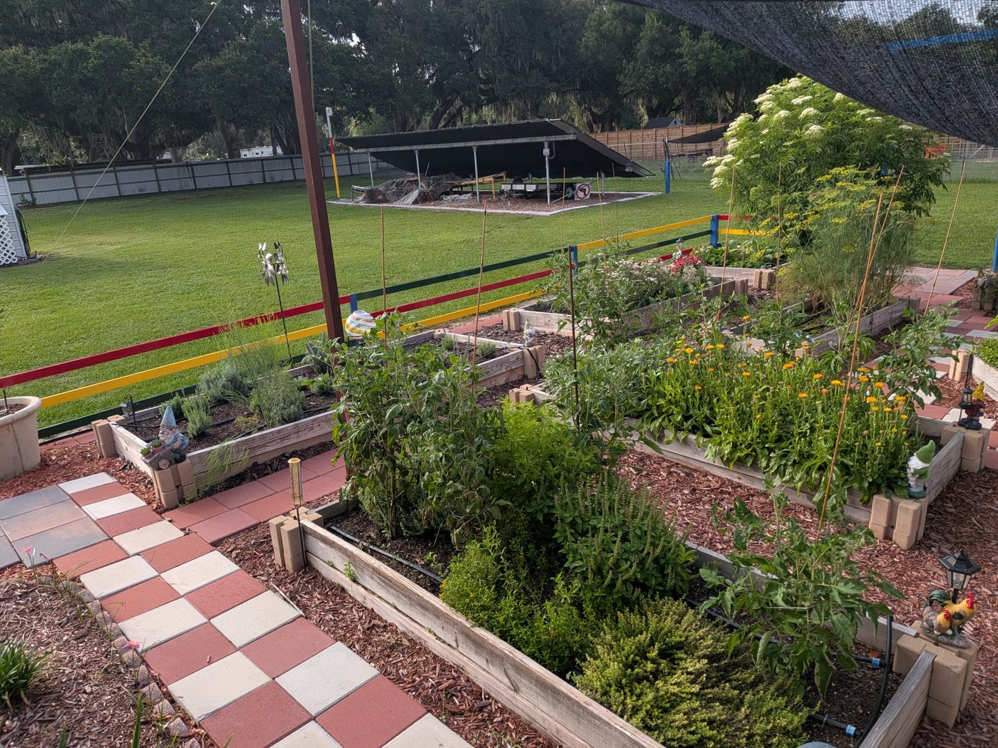 Overview of raised garden beds under shade cloth